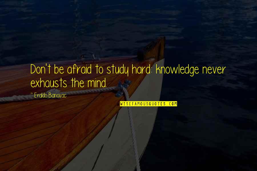 Malleswaram 8th Cross Quotes By Eraldo Banovac: Don't be afraid to study hard: knowledge never
