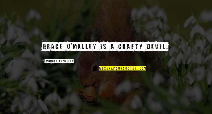 Malley Quotes By Morgan Llywelyn: Grace O'Malley is a crafty devil.