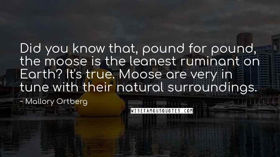 Mallory Ortberg quotes: Did you know that, pound for pound, the moose is the leanest ruminant on Earth? It's true. Moose are very in tune with their natural surroundings.