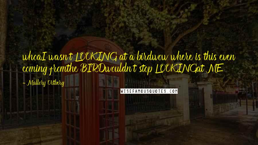 Mallory Ortberg quotes: whoaI wasn't LOOKING at a birdwow where is this even coming fromthe BIRDwouldn't stop LOOKINGat ME