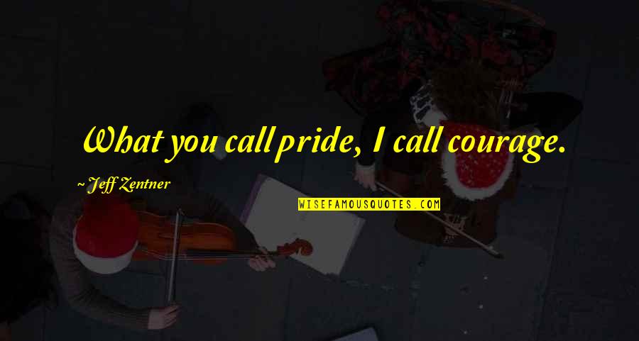 Mallowmelt Quotes By Jeff Zentner: What you call pride, I call courage.