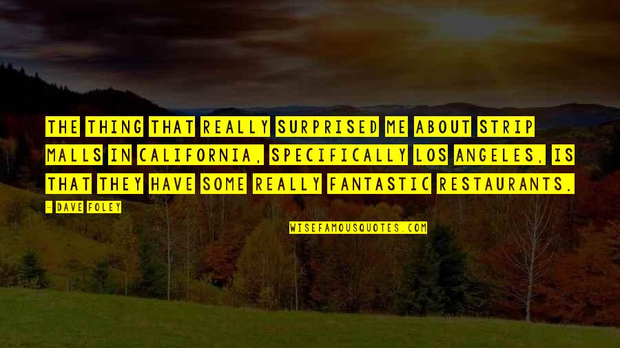 Malls Quotes By Dave Foley: The thing that really surprised me about strip Malls Quotes By Dave Foley: The thing that really surprised me about strip