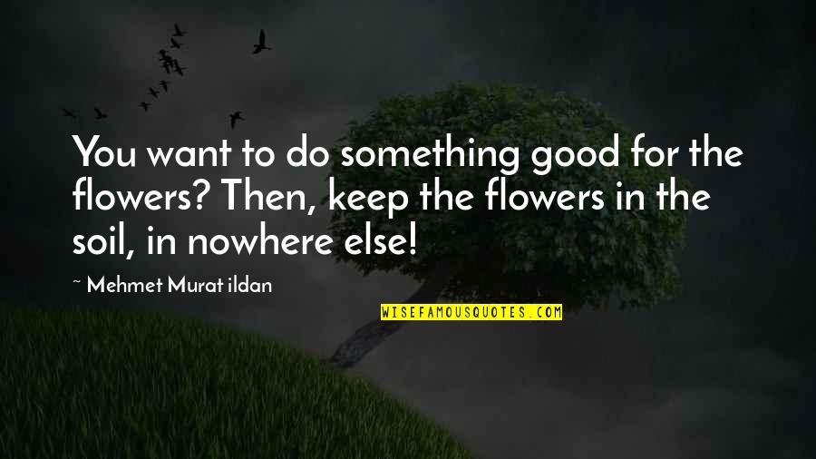 Malmborg Elementary Quotes By Mehmet Murat Ildan: You want to do something good for the