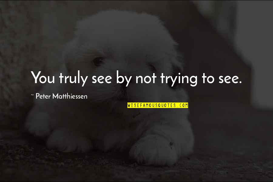 Malpass Bros Quotes By Peter Matthiessen: You truly see by not trying to see. Malpass Bros Quotes By Peter Matthiessen: You truly see by not trying to see.