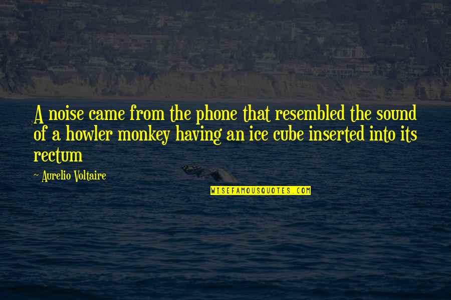 Malvar Batangas Quotes By Aurelio Voltaire: A noise came from the phone that resembled