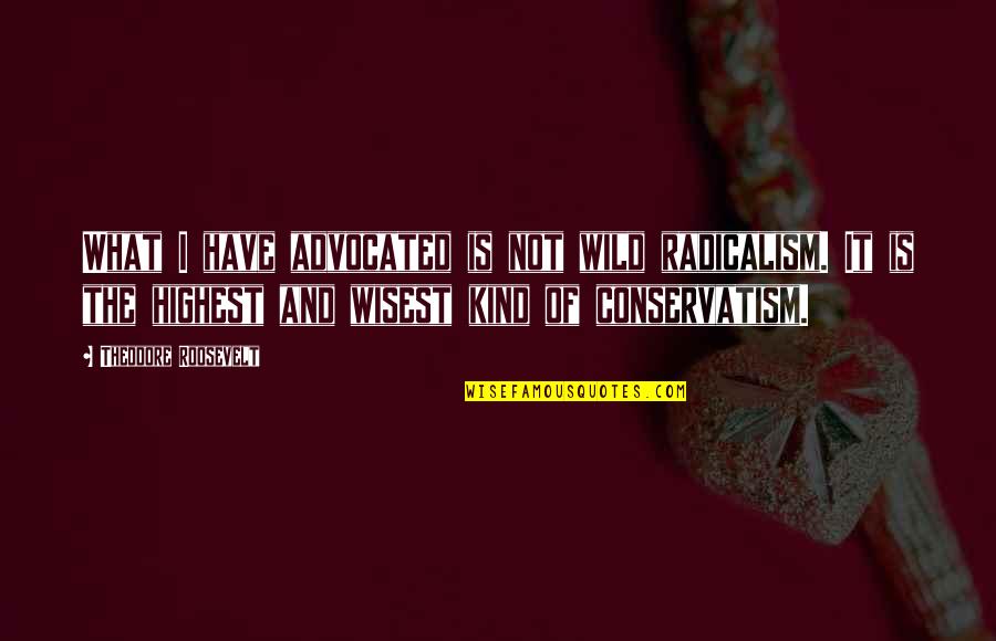 Malvine Quotes By Theodore Roosevelt: What I have advocated is not wild radicalism.