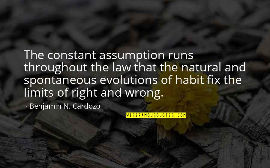 Mamerto Tindongan Quotes By Benjamin N. Cardozo: The constant assumption runs throughout the law that