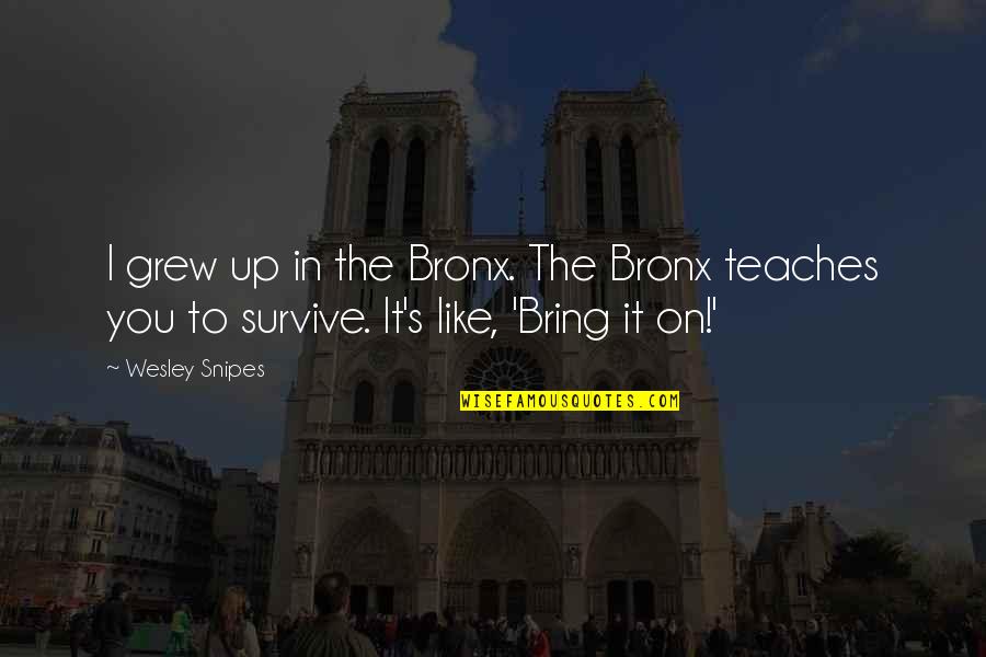 Mamet Principle Quotes By Wesley Snipes: I grew up in the Bronx. The Bronx