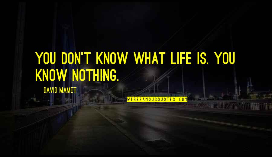 Mamet's Quotes By David Mamet: You don't know what life is. You know