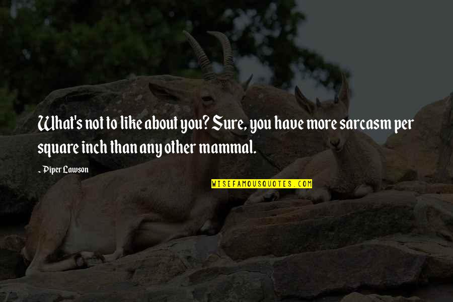 Mammal Quotes By Piper Lawson: What's not to like about you? Sure, you Mammal Quotes By Piper Lawson: What's not to like about you? Sure, you