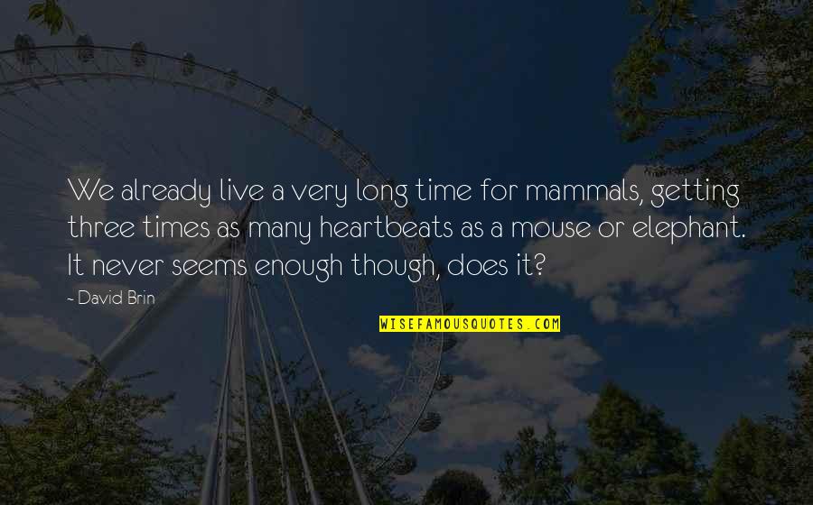 Mammals Quotes By David Brin: We already live a very long time for