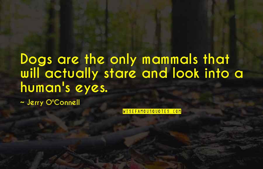 Mammals Quotes By Jerry O'Connell: Dogs are the only mammals that will actually