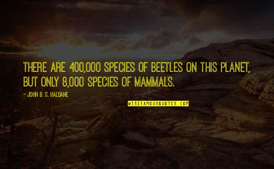 Mammals Quotes By John B. S. Haldane: There are 400,000 species of beetles on this