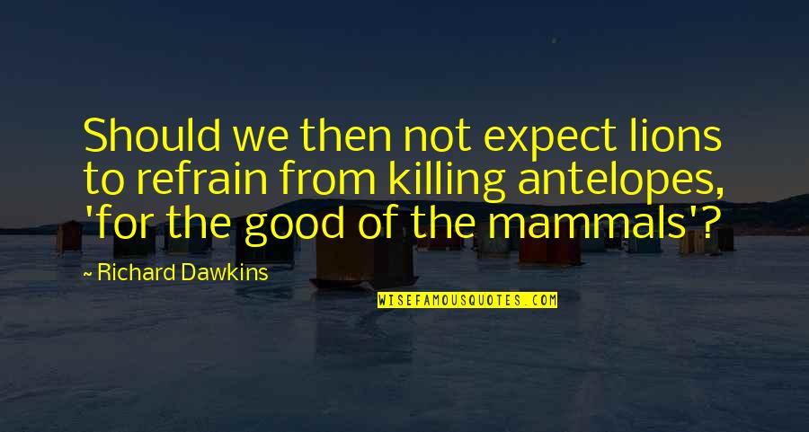 Mammals Quotes By Richard Dawkins: Should we then not expect lions to refrain