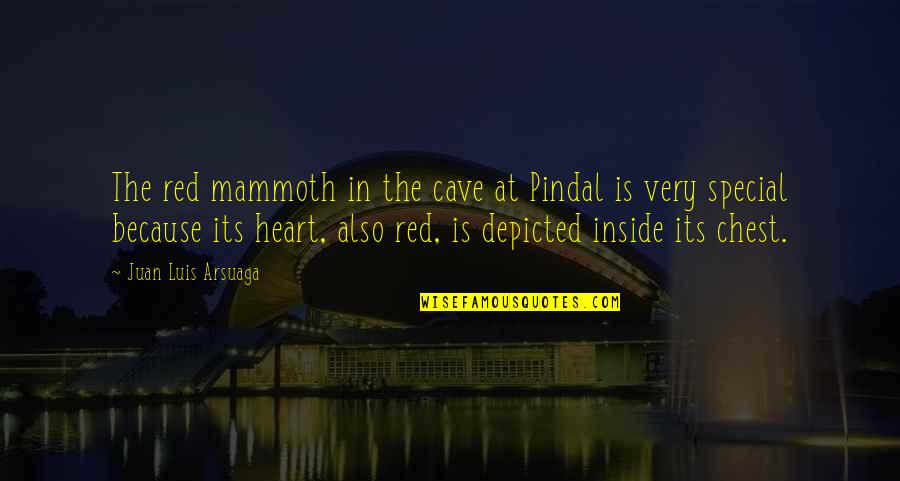 Mammoth Cave Quotes By Juan Luis Arsuaga: The red mammoth in the cave at Pindal