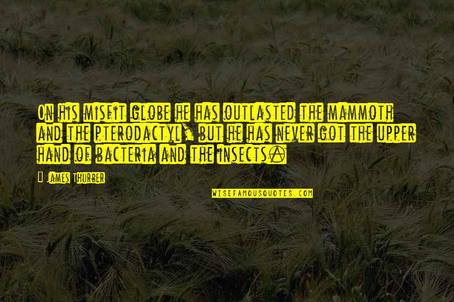 Mammoth Quotes By James Thurber: On his misfit globe he has outlasted the Mammoth Quotes By James Thurber: On his misfit globe he has outlasted the
