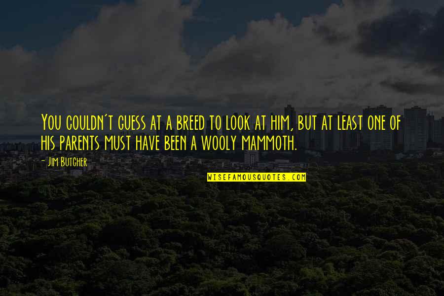 Mammoth Quotes By Jim Butcher: You couldn't guess at a breed to look Mammoth Quotes By Jim Butcher: You couldn't guess at a breed to look
