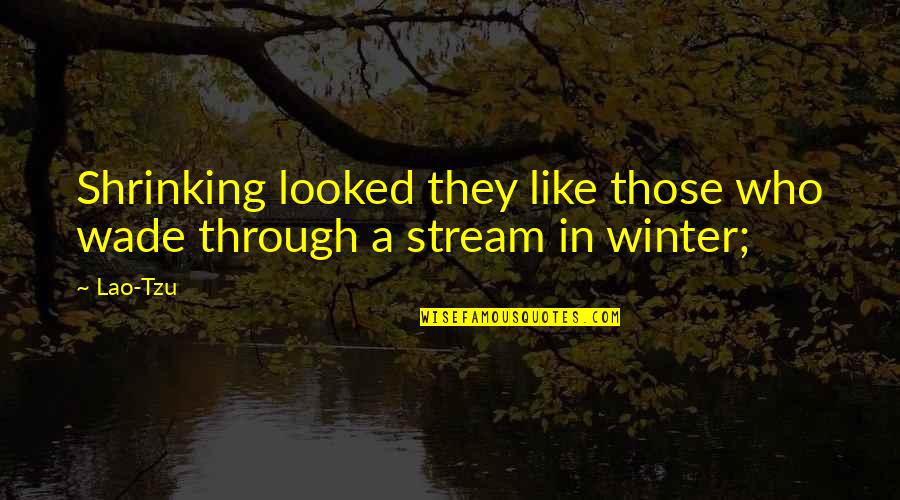 Mamonas Asesinas Quotes By Lao-Tzu: Shrinking looked they like those who wade through