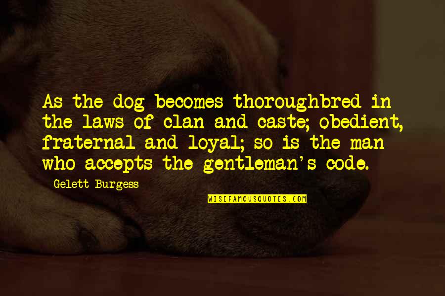 Man And Dog Quotes By Gelett Burgess: As the dog becomes thoroughbred in the laws