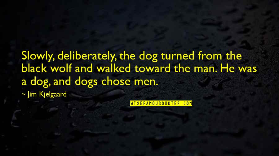 Man And Dog Quotes By Jim Kjelgaard: Slowly, deliberately, the dog turned from the black