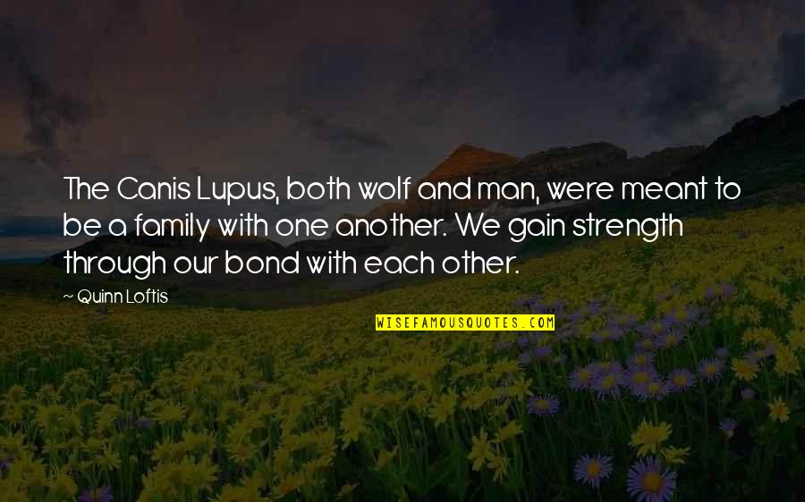 Man And Family Quotes By Quinn Loftis: The Canis Lupus, both wolf and man, were Man And Family Quotes By Quinn Loftis: The Canis Lupus, both wolf and man, were