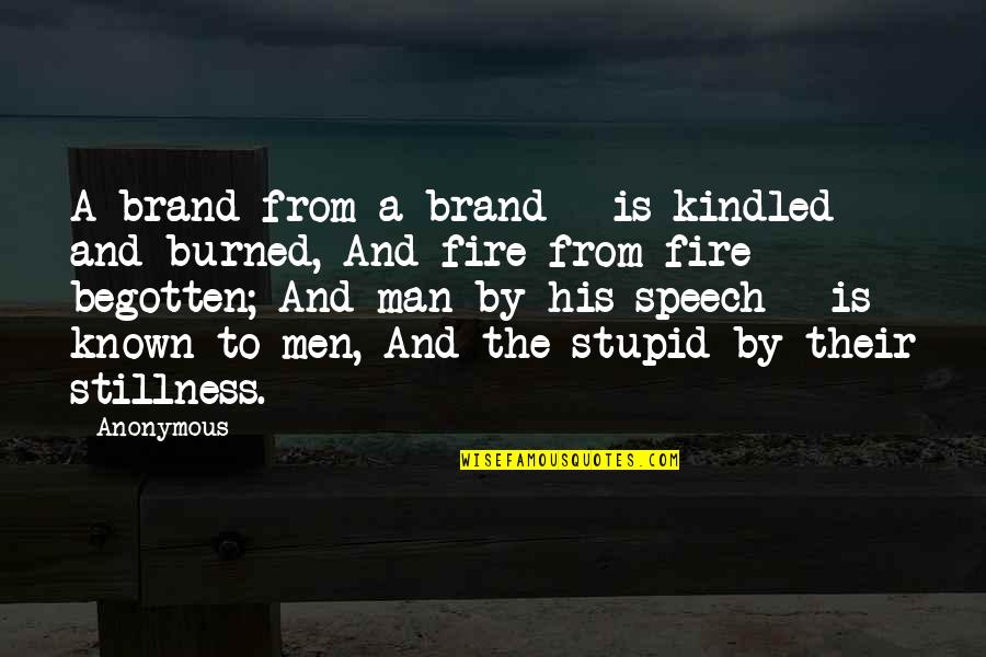 Man And Fire Quotes By Anonymous: A brand from a brand | is kindled