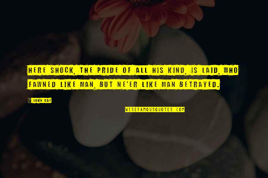 Man And His Dog Quotes By John Gay: Here Shock, the pride of all his kind,