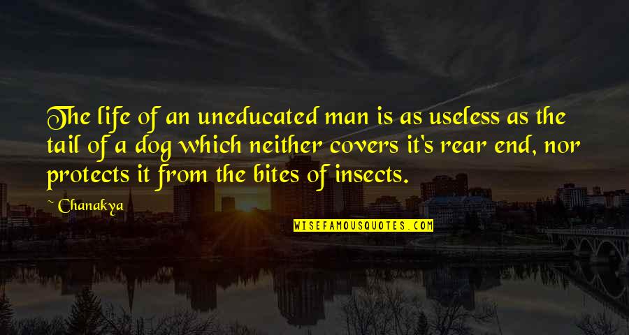 Man And Insects Quotes By Chanakya: The life of an uneducated man is as