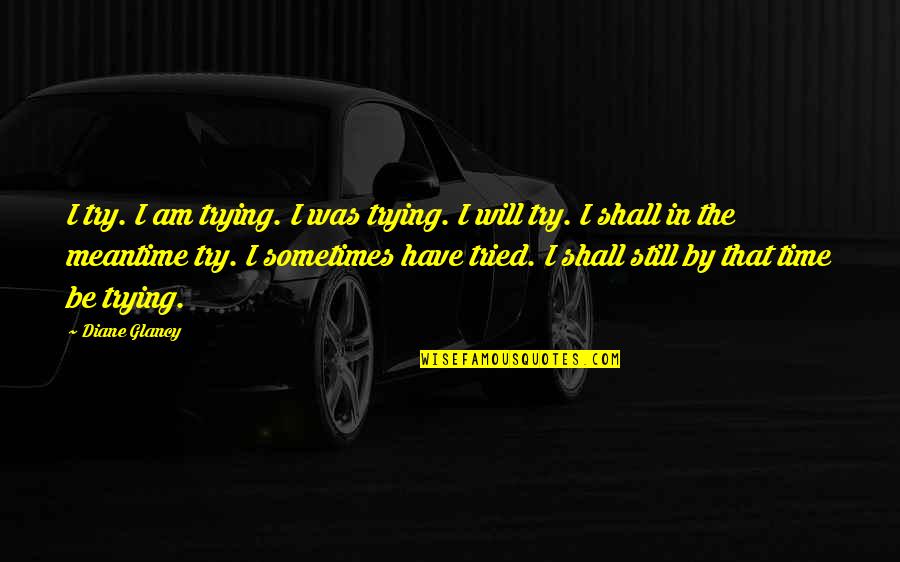 Man And Van Delivery Quotes By Diane Glancy: I try. I am trying. I was trying.