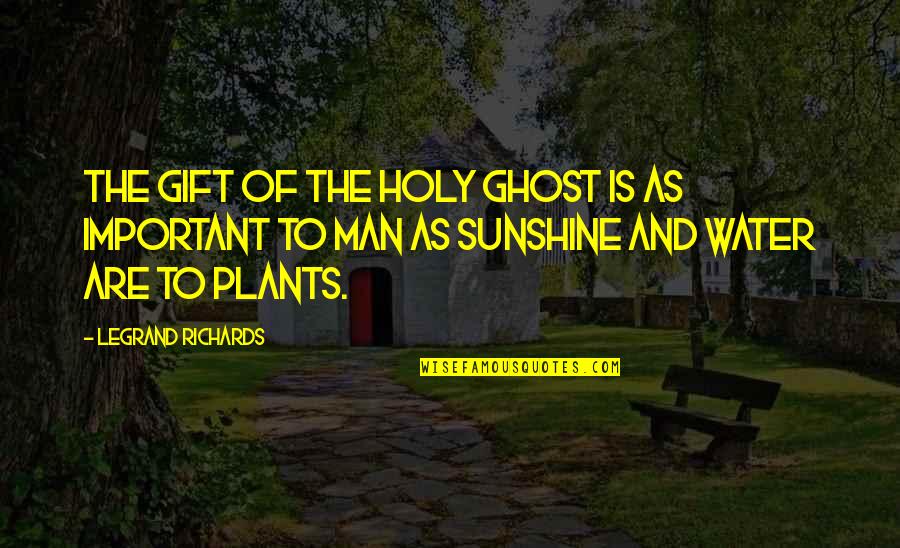 Man And Water Quotes By LeGrand Richards: The gift of the Holy Ghost is as