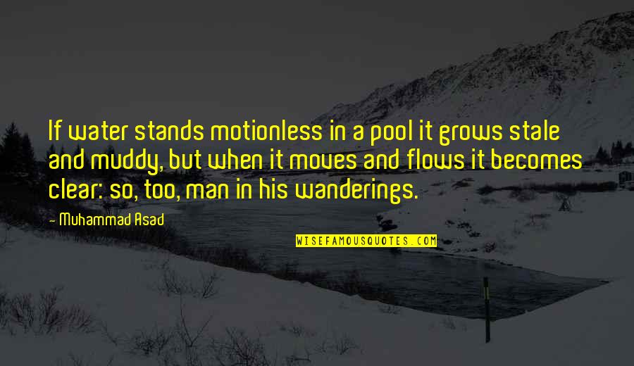 Man And Water Quotes By Muhammad Asad: If water stands motionless in a pool it