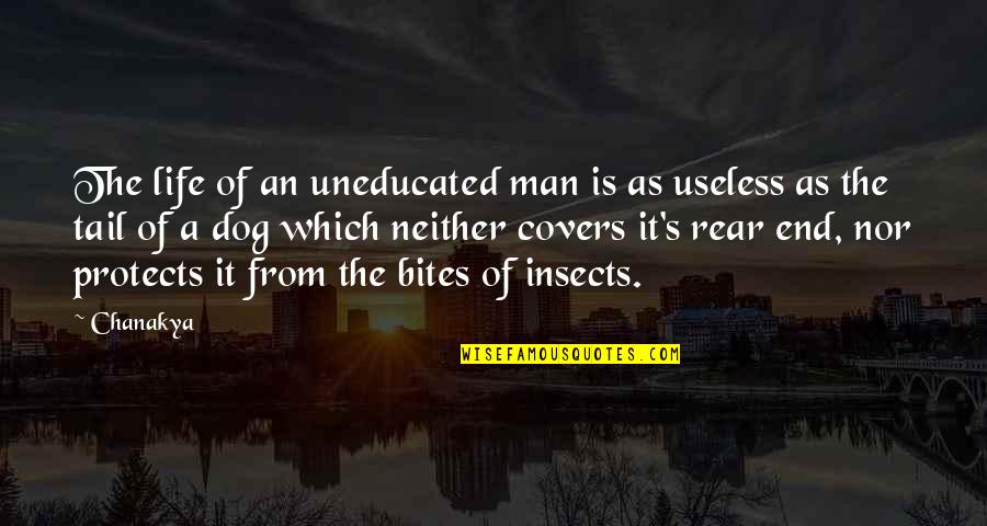 Man Bites Dog Quotes By Chanakya: The life of an uneducated man is as