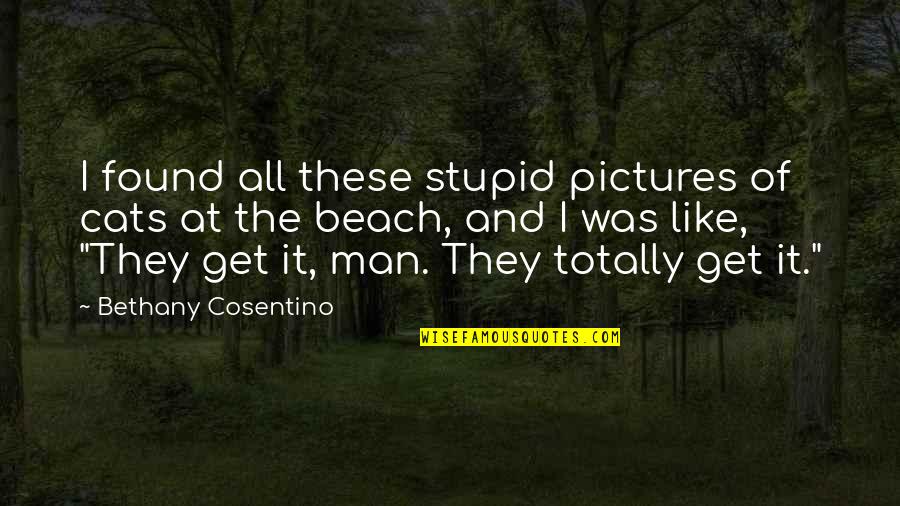 Man Cat Quotes By Bethany Cosentino: I found all these stupid pictures of cats Man Cat Quotes By Bethany Cosentino: I found all these stupid pictures of cats