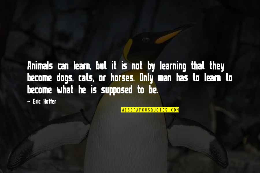 Man Cat Quotes By Eric Hoffer: Animals can learn, but it is not by