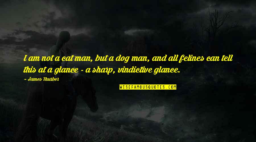 Man Cat Quotes By James Thurber: I am not a cat man, but a Man Cat Quotes By James Thurber: I am not a cat man, but a