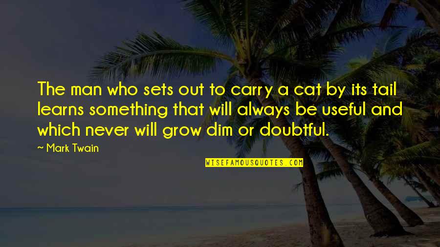 Man Cat Quotes By Mark Twain: The man who sets out to carry a