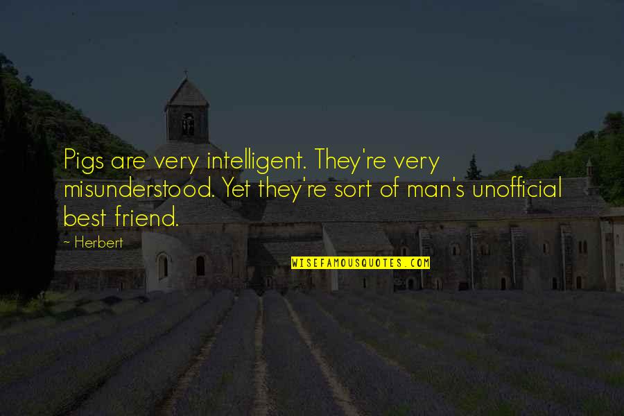 Man Friend Quotes By Herbert: Pigs are very intelligent. They're very misunderstood. Yet