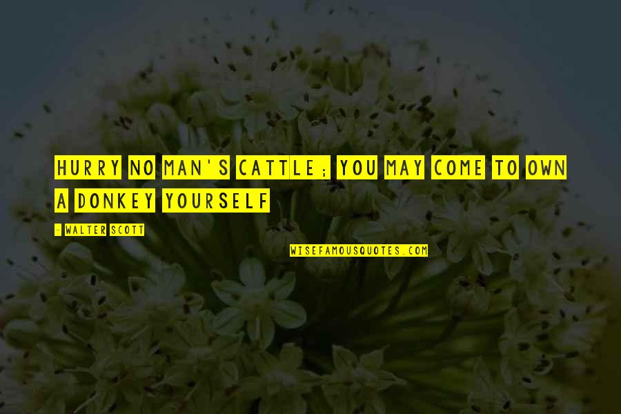 Man In A Hurry Quotes By Walter Scott: Hurry no man's cattle; you may come to Man In A Hurry Quotes By Walter Scott: Hurry no man's cattle; you may come to