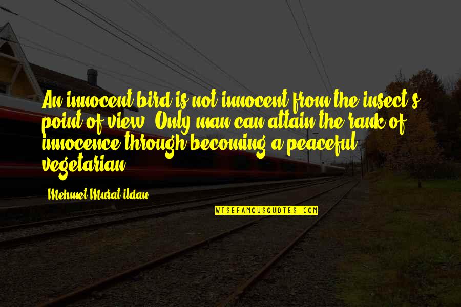 Man Innocence Quotes By Mehmet Murat Ildan: An innocent bird is not innocent from the Man Innocence Quotes By Mehmet Murat Ildan: An innocent bird is not innocent from the