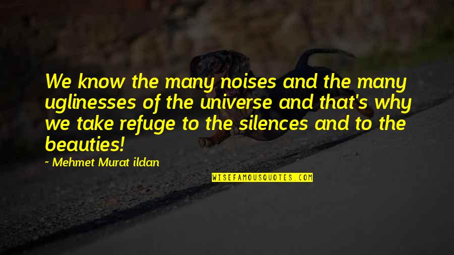Man Never Satisfied Quotes By Mehmet Murat Ildan: We know the many noises and the many