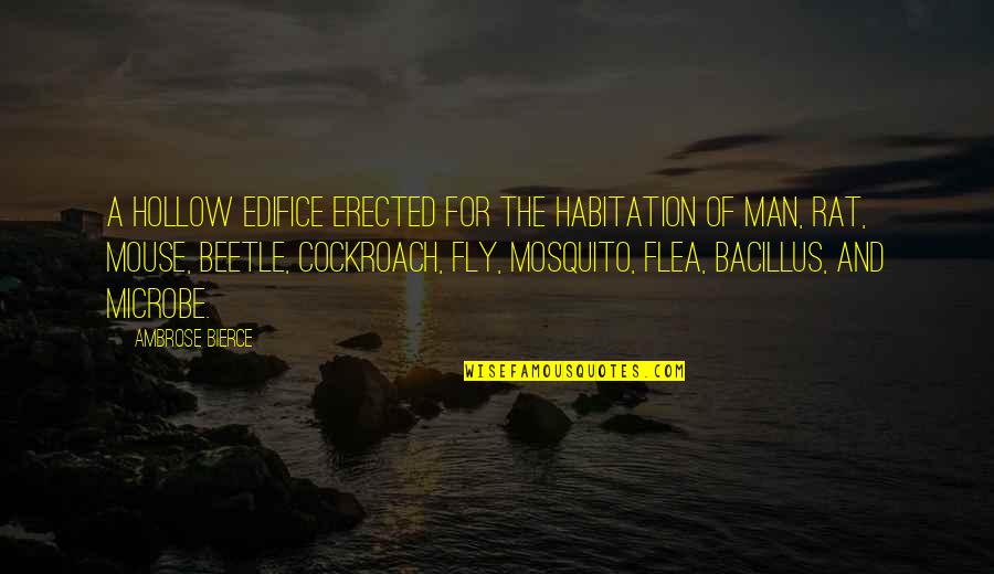 Man Of The House Quotes By Ambrose Bierce: A hollow edifice erected for the habitation of Man Of The House Quotes By Ambrose Bierce: A hollow edifice erected for the habitation of