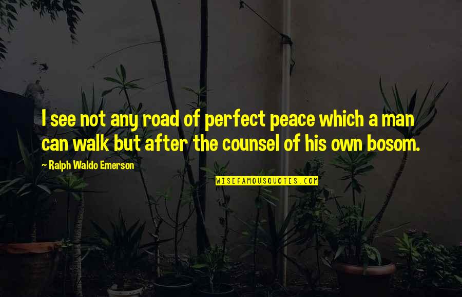 Man On The Road Quotes By Ralph Waldo Emerson: I see not any road of perfect peace