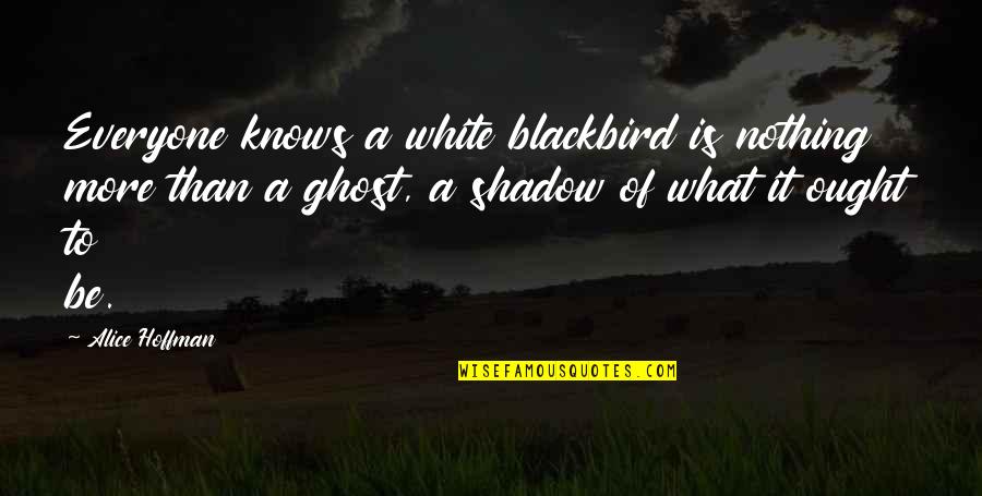 Man Proposes And God Disposes Quotes By Alice Hoffman: Everyone knows a white blackbird is nothing more