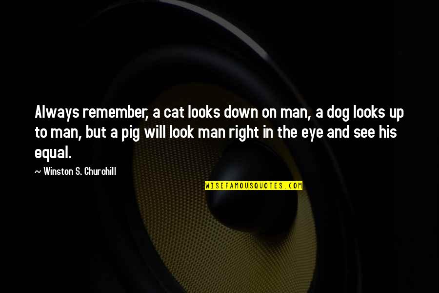 Man S Will Quotes By Winston S. Churchill: Always remember, a cat looks down on man,