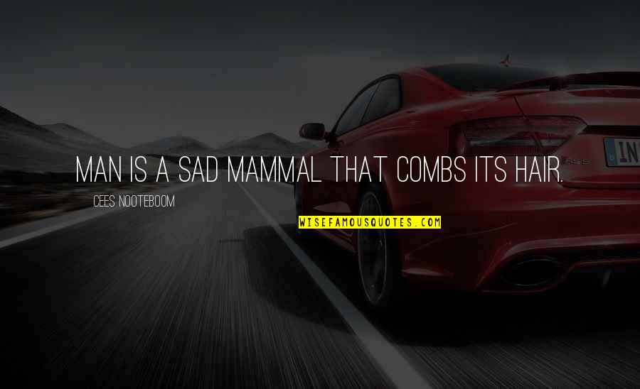 Man Sad Quotes By Cees Nooteboom: Man is a sad mammal that combs its