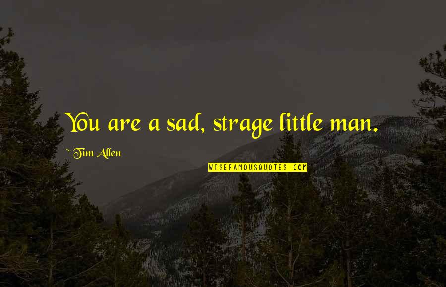 Man Sad Quotes By Tim Allen: You are a sad, strage little man.