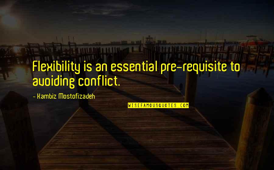 Man Saying Shut Quotes By Kambiz Mostofizadeh: Flexibility is an essential pre-requisite to avoiding conflict.