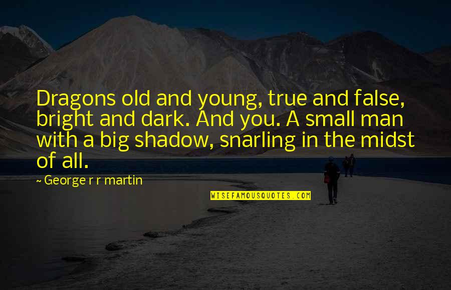 Man Shadow Quotes By George R R Martin: Dragons old and young, true and false, bright