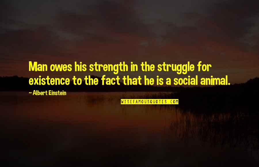 Man Social Animal Quotes By Albert Einstein: Man owes his strength in the struggle for