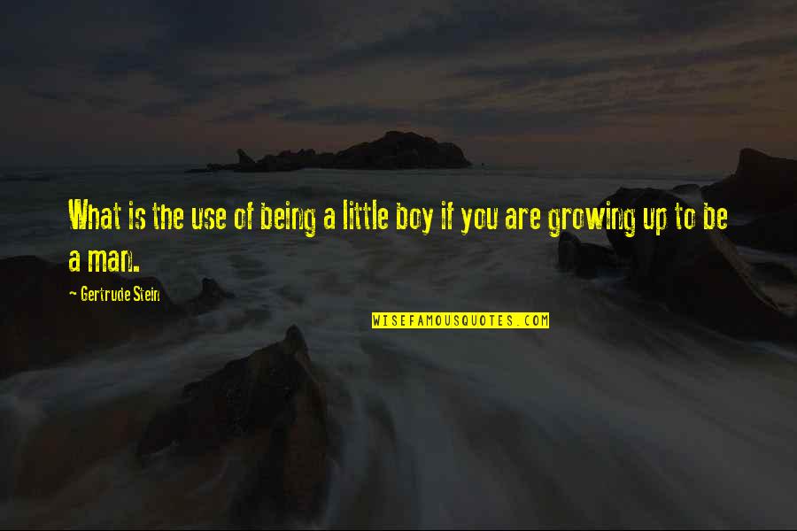 Man To Boy Quotes By Gertrude Stein: What is the use of being a little